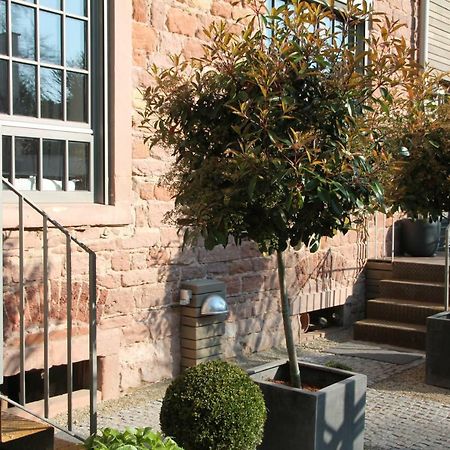 Junior Suite The Backyard Tby 01 Trier Luaran gambar